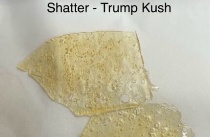 28g shatter - Trump Kush